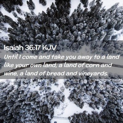 Picture 02 - Isaiah 36:17 KJV - Until I come and take you away to a land like - Bible Verse Picture