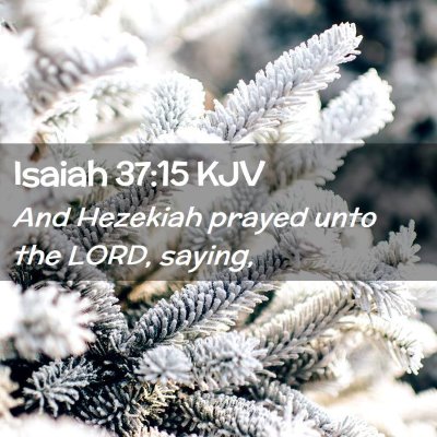Picture 02 - Isaiah 37:15 KJV - And Hezekiah prayed unto the LORD, - Bible Verse Picture