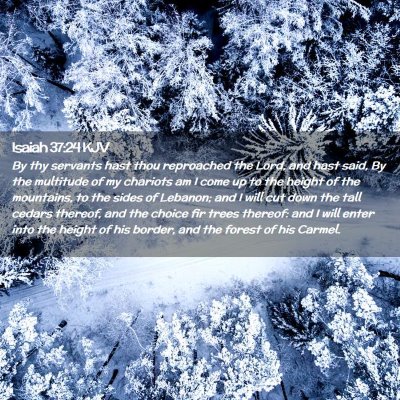 Picture 02 - Isaiah 37:24 KJV - By thy servants hast thou reproached the Lord, - Bible Verse Picture