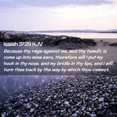 Picture 02 - Isaiah 37:29 KJV - Because thy rage against me, and thy tumult, is - Bible Verse Picture