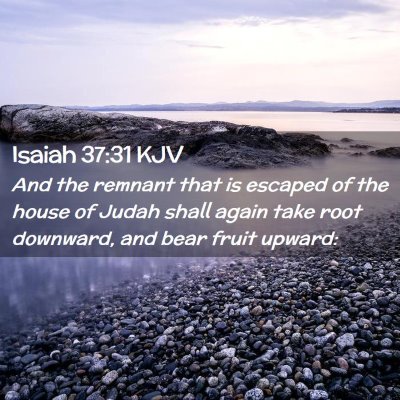 Picture 02 - Isaiah 37:31 KJV - And the remnant that is escaped of the house of - Bible Verse Picture