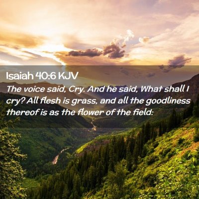 Picture 02 - Isaiah 40:6 KJV - The voice said, Cry. And he said, What shall I - Bible Verse Picture