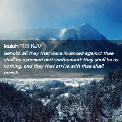 Picture 02 - Isaiah 41:11 KJV - Behold, all they that were incensed against thee - Bible Verse Picture