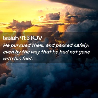 Picture 02 - Isaiah 41:3 KJV - He pursued them, and passed safely; even by the - Bible Verse Picture