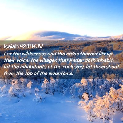 Picture 02 - Isaiah 42:11 KJV - Let the wilderness and the cities thereof lift up - Bible Verse Picture