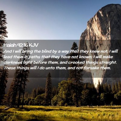 Picture 02 - Isaiah 42:16 KJV - And I will bring the blind by a way that they - Bible Verse Picture