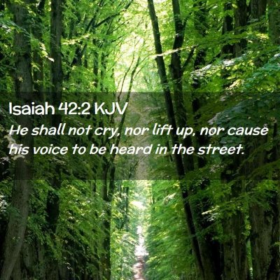 Picture 02 - Isaiah 42:2 KJV - He shall not cry, nor lift up, nor cause his - Bible Verse Picture