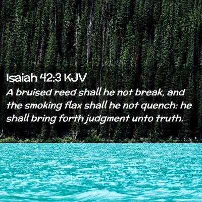 Picture 02 - Isaiah 42:3 KJV - A bruised reed shall he not break, and the - Bible Verse Picture