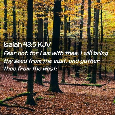Picture 02 - Isaiah 43:5 KJV - Fear not: for I am with thee: I will bring thy - Bible Verse Picture