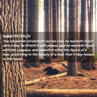 Picture 02 - Isaiah 44:13 KJV - The carpenter stretcheth out his rule; he marketh - Bible Verse Picture