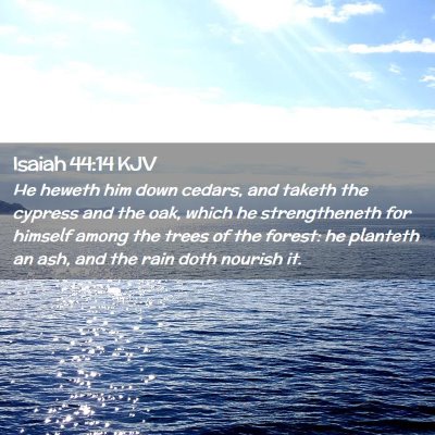 Picture 02 - Isaiah 44:14 KJV - He heweth him down cedars, and taketh the cypress - Bible Verse Picture