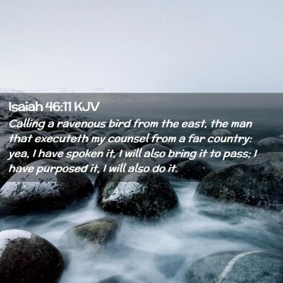 Picture 02 - Isaiah 46:11 KJV - Calling a ravenous bird from the east, the man - Bible Verse Picture