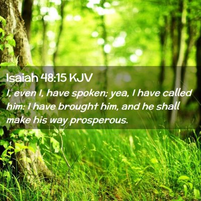 Picture 02 - Isaiah 48:15 KJV - I, even I, have spoken; yea, I have called him: I - Bible Verse Picture