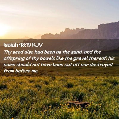Picture 02 - Isaiah 48:19 KJV - Thy seed also had been as the sand, and the - Bible Verse Picture