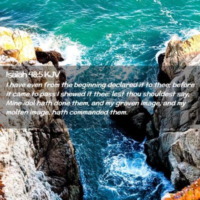 Picture 02 - Isaiah 48:5 KJV - I have even from the beginning declared it to - Bible Verse Picture