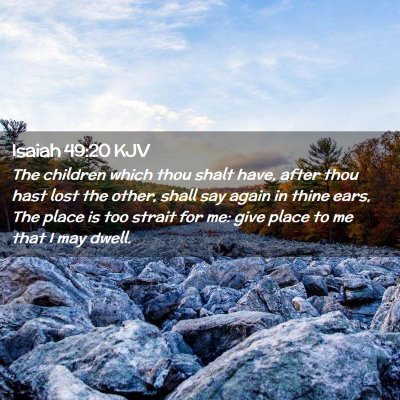 Picture 02 - Isaiah 49:20 KJV - The children which thou shalt have, after thou - Bible Verse Picture