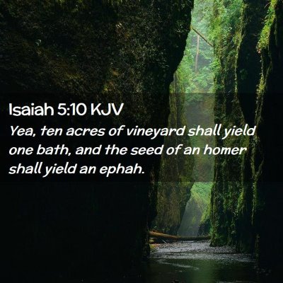 Picture 02 - Isaiah 5:10 KJV - Yea, ten acres of vineyard shall yield one bath, - Bible Verse Picture