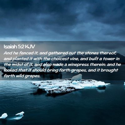 Picture 02 - Isaiah 5:2 KJV - And he fenced it, and gathered out the stones - Bible Verse Picture