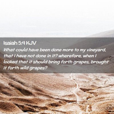 Picture 02 - Isaiah 5:4 KJV - What could have been done more to my vineyard, - Bible Verse Picture