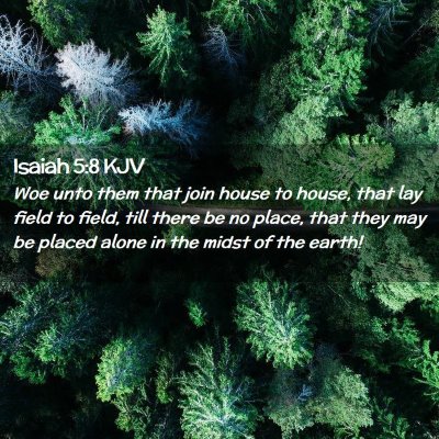 Picture 02 - Isaiah 5:8 KJV - Woe unto them that join house to house, that lay - Bible Verse Picture