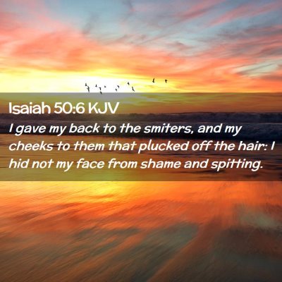 Picture 02 - Isaiah 50:6 KJV - I gave my back to the smiters, and my cheeks to - Bible Verse Picture