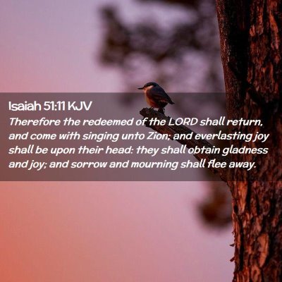 Picture 02 - Isaiah 51:11 KJV - Therefore the redeemed of the LORD shall return, - Bible Verse Picture