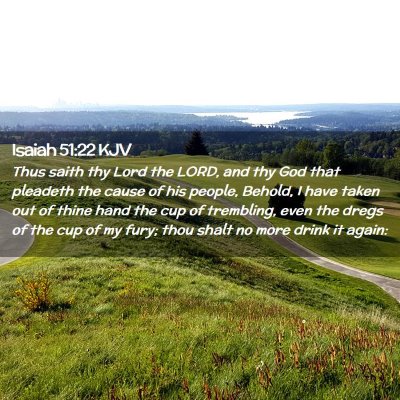 Picture 02 - Isaiah 51:22 KJV - Thus saith thy Lord the LORD, and thy God that - Bible Verse Picture