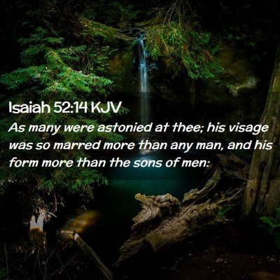 Picture 02 - Isaiah 52:14 KJV - As many were astonied at thee; his visage was so - Bible Verse Picture