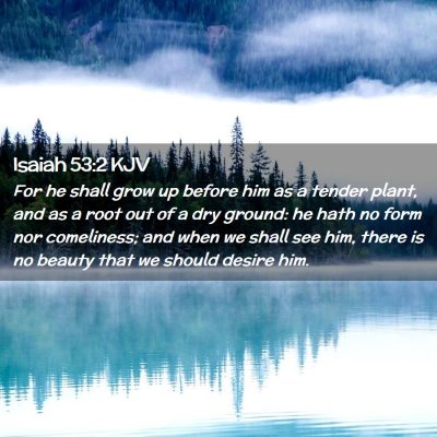 Picture 02 - Isaiah 53:2 KJV - For he shall grow up before him as a tender - Bible Verse Picture