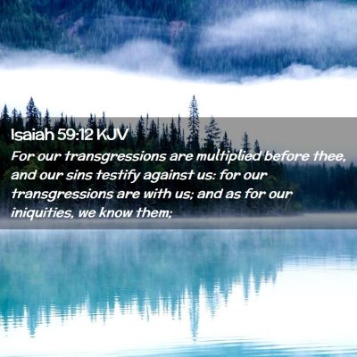 Picture 02 - Isaiah 59:12 KJV - For our transgressions are multiplied before - Bible Verse Picture
