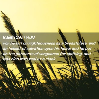 Picture 02 - Isaiah 59:17 KJV - For he put on righteousness as a breastplate, and - Bible Verse Picture