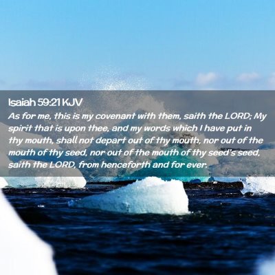 Picture 02 - Isaiah 59:21 KJV - As for me, this is my covenant with them, saith - Bible Verse Picture