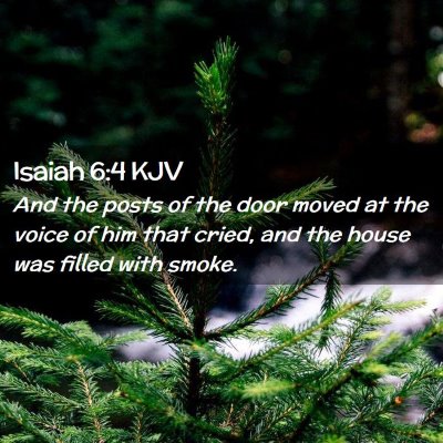 Picture 02 - Isaiah 6:4 KJV - And the posts of the door moved at the voice of - Bible Verse Picture