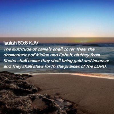 Picture 02 - Isaiah 60:6 KJV - The multitude of camels shall cover thee, the - Bible Verse Picture