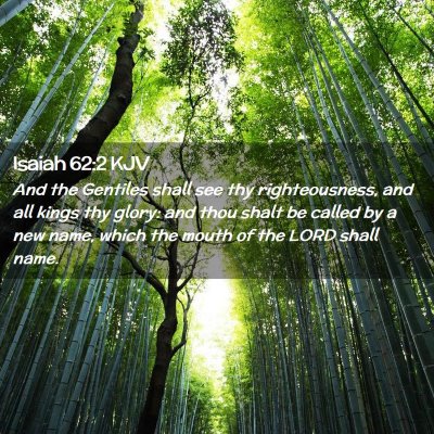 Picture 02 - Isaiah 62:2 KJV - And the Gentiles shall see thy righteousness, and - Bible Verse Picture