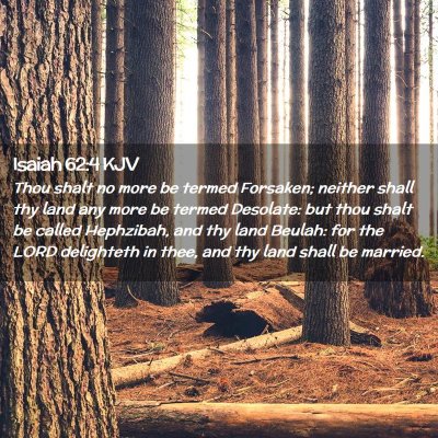 Picture 02 - Isaiah 62:4 KJV - Thou shalt no more be termed Forsaken; neither - Bible Verse Picture