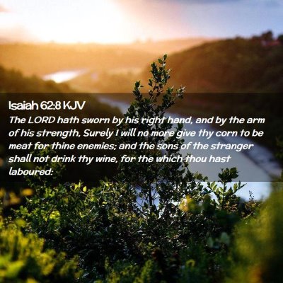 Picture 02 - Isaiah 62:8 KJV - The LORD hath sworn by his right hand, and by the - Bible Verse Picture