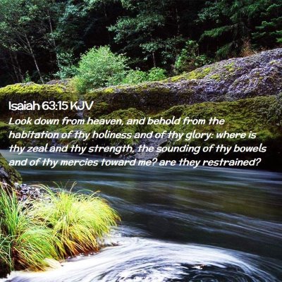 Picture 02 - Isaiah 63:15 KJV - Look down from heaven, and behold from the - Bible Verse Picture