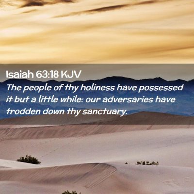 Picture 02 - Isaiah 63:18 KJV - The people of thy holiness have possessed it but - Bible Verse Picture