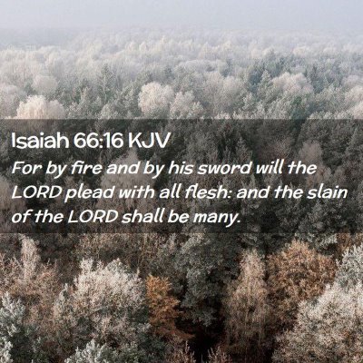 Picture 02 - Isaiah 66:16 KJV - For by fire and by his sword will the LORD plead - Bible Verse Picture