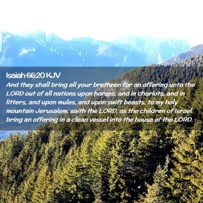 Picture 02 - Isaiah 66:20 KJV - And they shall bring all your brethren for an - Bible Verse Picture