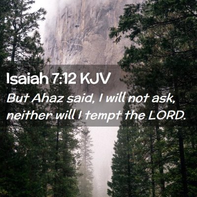 Picture 02 - Isaiah 7:12 KJV - But Ahaz said, I will not ask, neither will I - Bible Verse Picture
