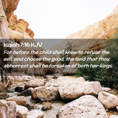 Picture 02 - Isaiah 7:16 KJV - For before the child shall know to refuse the - Bible Verse Picture