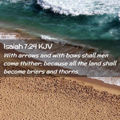 Picture 02 - Isaiah 7:24 KJV - With arrows and with bows shall men come thither; - Bible Verse Picture