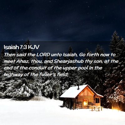 Picture 02 - Isaiah 7:3 KJV - Then said the LORD unto Isaiah, Go forth now to - Bible Verse Picture