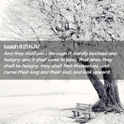 Picture 02 - Isaiah 8:21 KJV - And they shall pass through it, hardly bestead - Bible Verse Picture