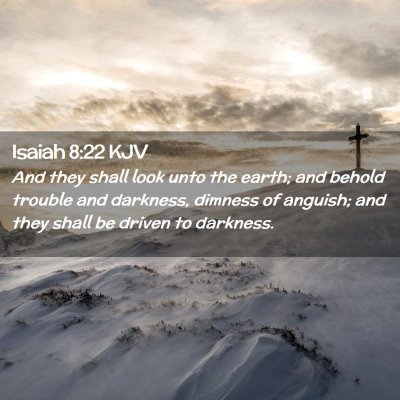 Picture 02 - Isaiah 8:22 KJV - And they shall look unto the earth; and behold - Bible Verse Picture