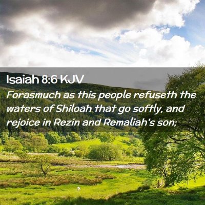 Picture 02 - Isaiah 8:6 KJV - Forasmuch as this people refuseth the waters of - Bible Verse Picture