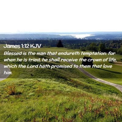 Picture 02 - James 1:12 KJV - Blessed is the man that endureth temptation: for - Bible Verse Picture