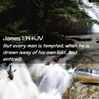 Picture 02 - James 1:14 KJV - But every man is tempted, when he is drawn away - Bible Verse Picture
